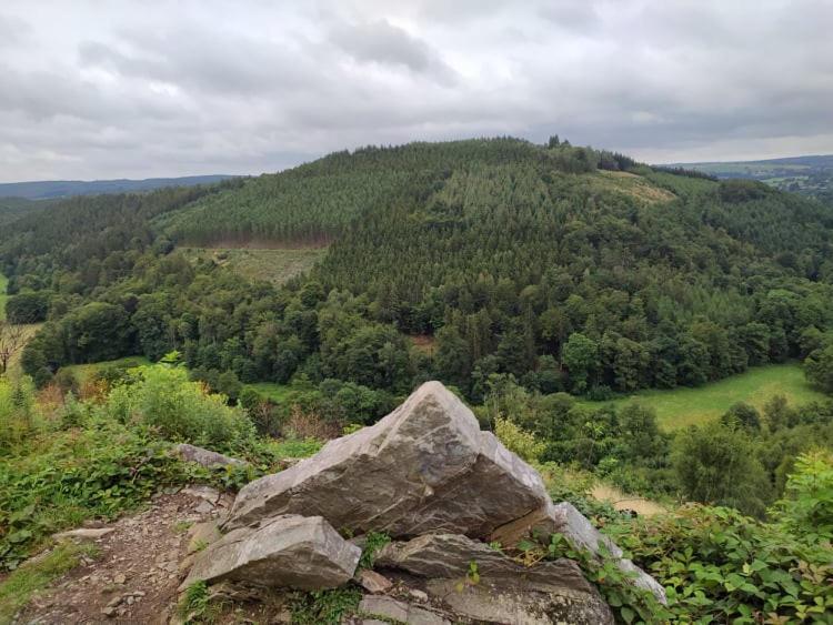Gite De Charme Rosardenne Vaux-sur-Sure Zewnętrze zdjęcie